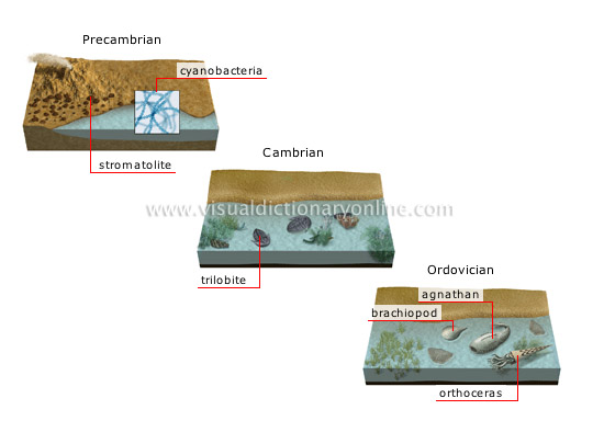 origin and evolution of species [1]