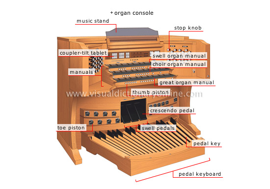 organ [1]