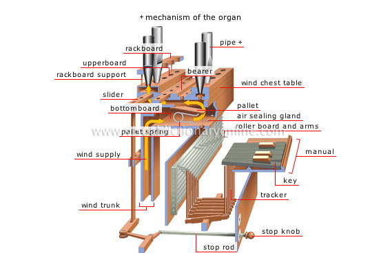 organ [4]