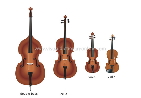 violin family