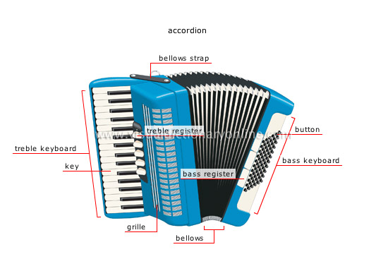 traditional musical instruments [1]