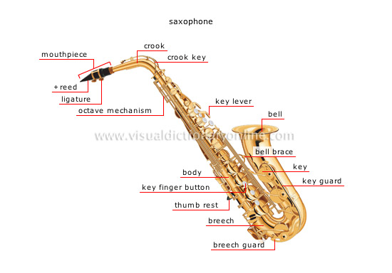 wind instruments [1]