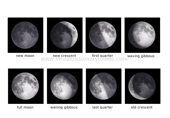 phases of the Moon