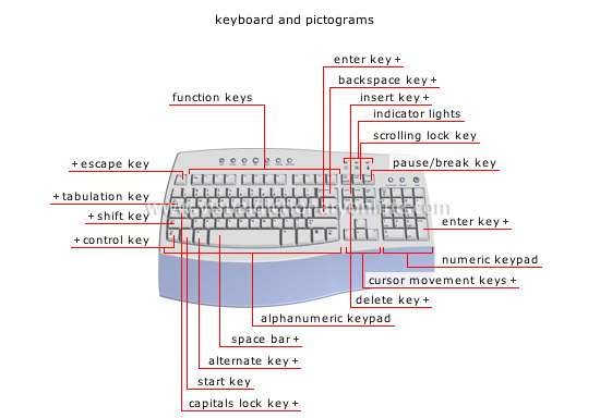 input devices [1]