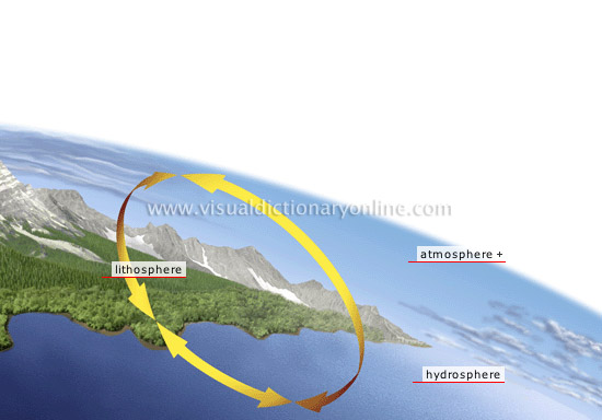 structure of the biosphere