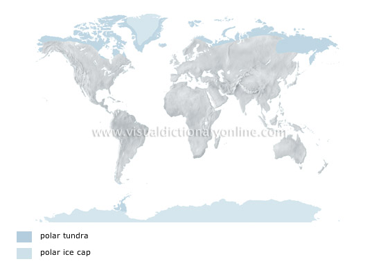 polar climates