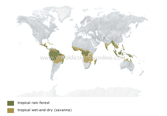 tropical climates