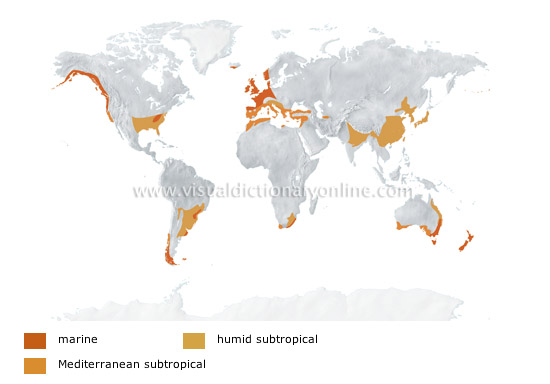 warm temperate climates