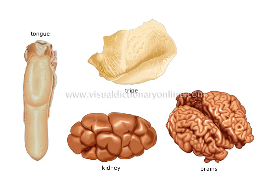 variety meat [2]