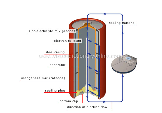 alkaline manganese-zinc cell