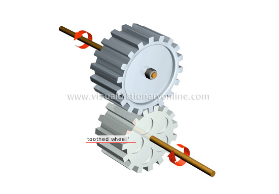 spur gear