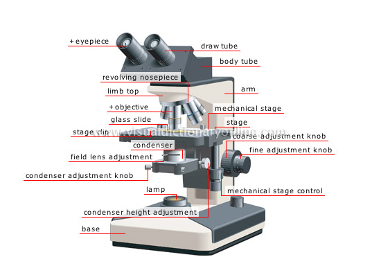 binocular microscope