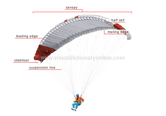 paraglider