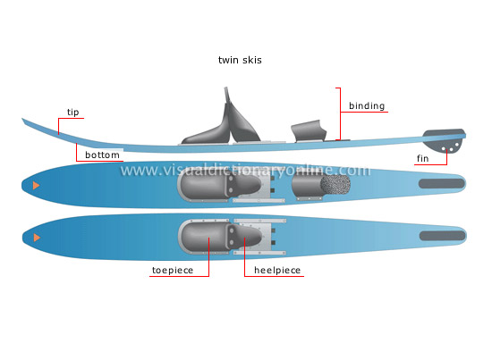 examples of skis [1]