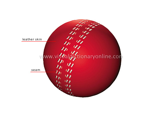 cricket ball