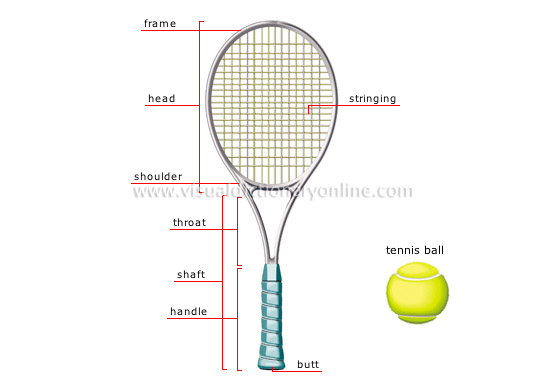 tennis racket