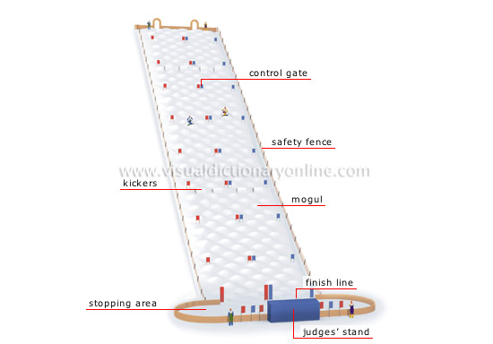 course: moguls competition