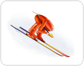 speed skier